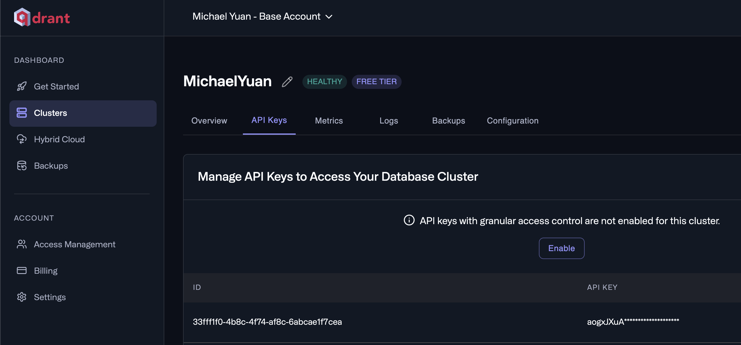 Qdrant database